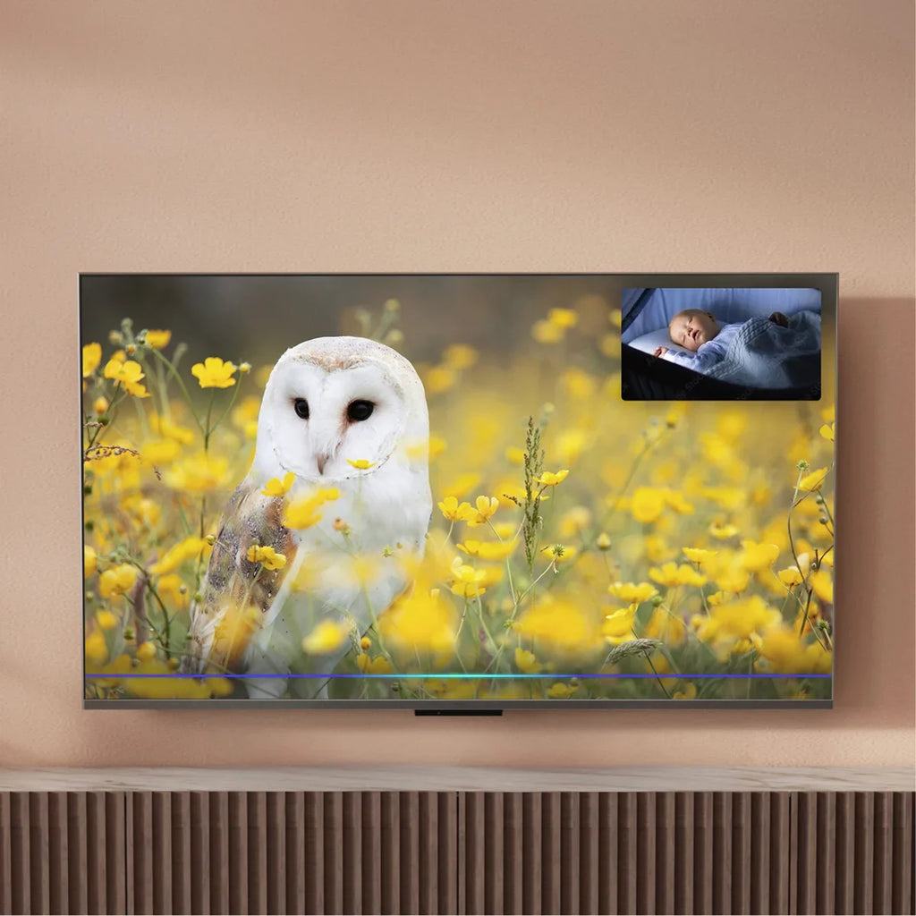 Panasonic TV-55W95BEG