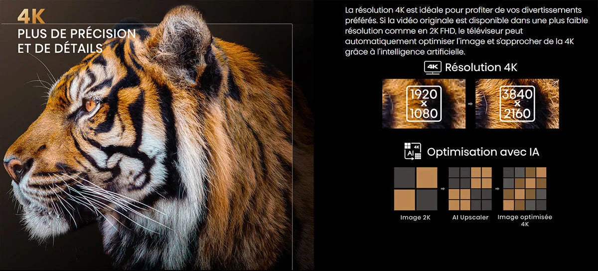 Hisense 100L9G-D12 Laser TV