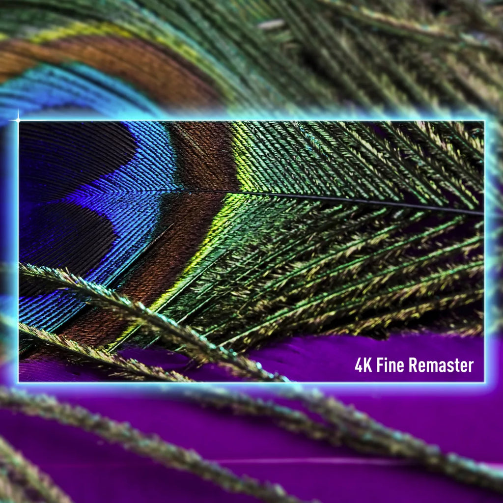 Panasonic TV-55W95BEG